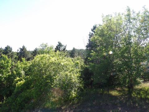 5795 E Rice Rd, Cedar, MI 49621 photo 4