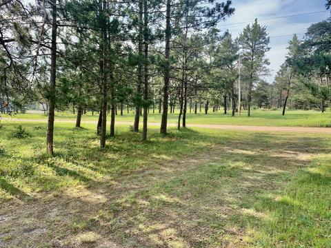 8036 Nephew Trail Grayling Mi 49738 Trl, Grayling, MI 49738 photo 6