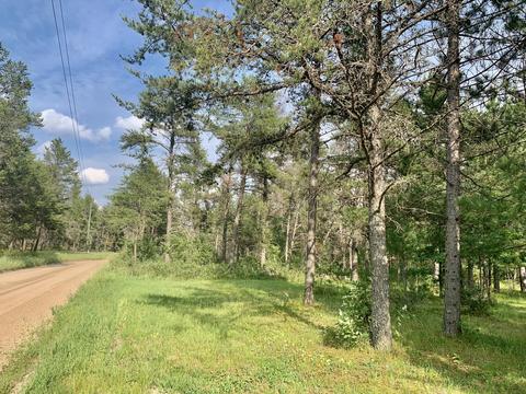 8036 Nephew Trail Grayling Mi 49738 Trl, Grayling, MI 49738 photo 5