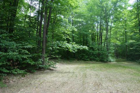 10185 Kenyon Trail Frederic Mi 49733 Trl, Frederic, MI 49733 photo 6