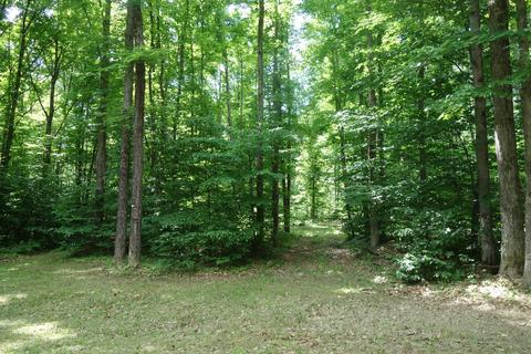 10185 Kenyon Trail Frederic Mi 49733 Trl, Frederic, MI 49733 photo 5