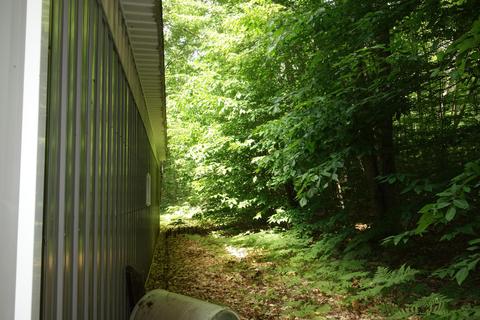 10185 Kenyon Trail Frederic Mi 49733 Trl, Frederic, MI 49733 photo 10