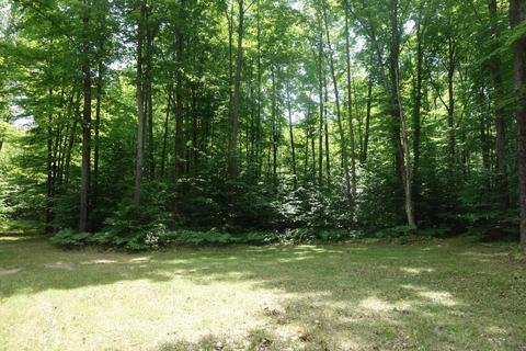 10185 Kenyon Trail Frederic Mi 49733 Trl, Frederic, MI 49733 photo 14