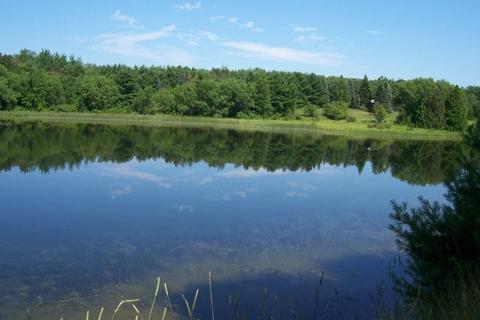 South River Road, Cheboygan, MI 49721