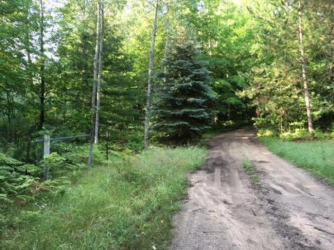 2125 Taylor Rd, Fairview, MI 48621 photo 33