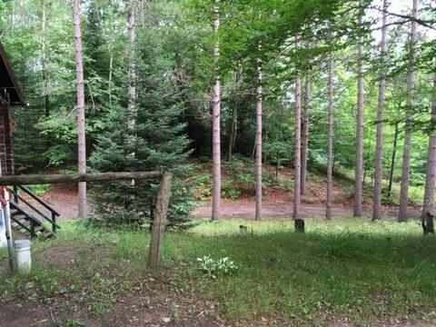 2125 Taylor Rd, Fairview, MI 48621 photo 24