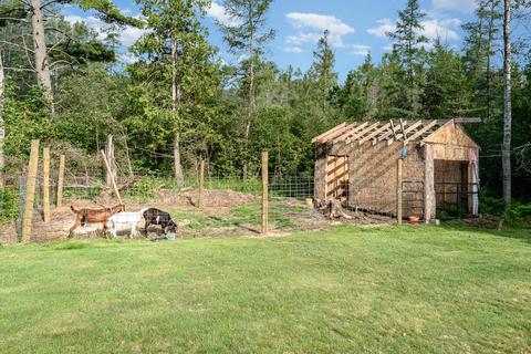 562 Pine Oak Trail Grayling Mi 49738 Trl, Grayling, MI 49738 photo 12