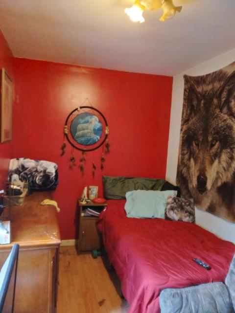 8043 Washington Street Vanderbilt Mi 49795 St, Vanderbilt, MI 49795 photo 6