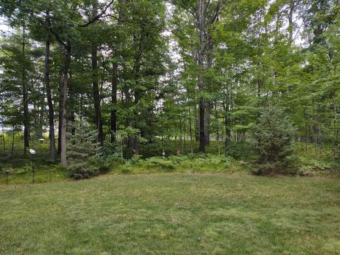 9781 Wheeler Road Roscommon Mi 48653 Rd, Roscommon, MI 48653 photo 9