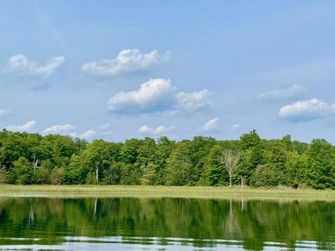 803 Guenther Rdg, Gaylord, MI 49735