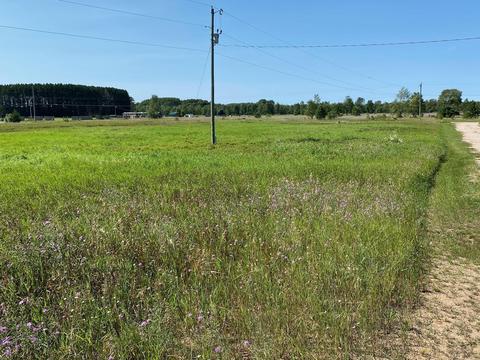 6122 Ringler Rd, Pellston, MI 49769 photo 1