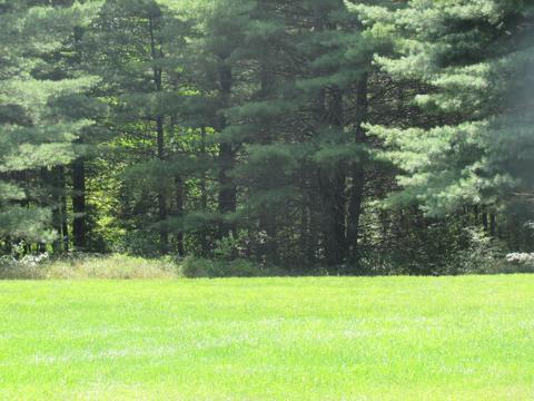 5925 Dort Rd, Roscommon, MI 48653 photo 44