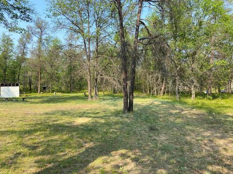 4253 Diamond Dr, Grayling, MI 49738 photo 4