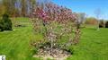 7414 E Meadows Dr, Cedar, MI 49621 photo 63