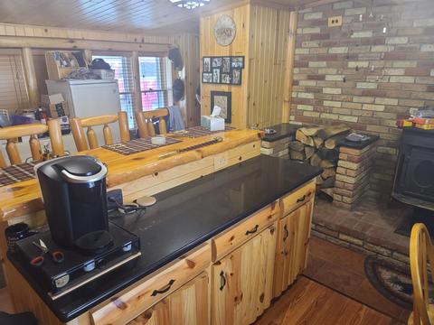 7529 Dudd Rd, Vanderbilt, MI 49795 photo 3
