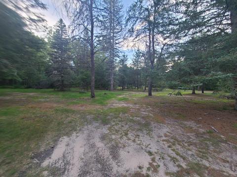 7529 Dudd Rd, Vanderbilt, MI 49795 photo 33