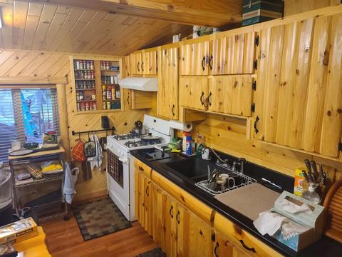 7529 Dudd Rd, Vanderbilt, MI 49795 photo 7