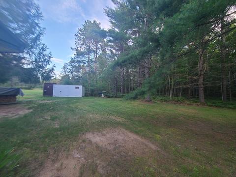 7529 Dudd Rd, Vanderbilt, MI 49795 photo 29
