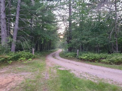 7529 Dudd Rd, Vanderbilt, MI 49795 photo 32