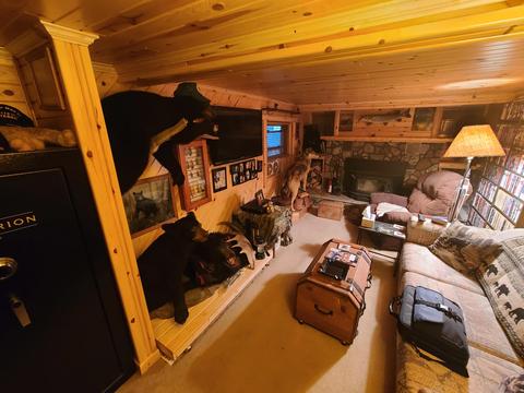 7529 Dudd Rd, Vanderbilt, MI 49795 photo 14