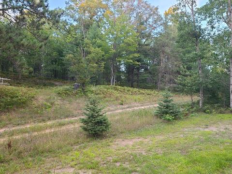7529 Dudd Rd, Vanderbilt, MI 49795 photo 31