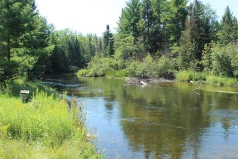 1230 S Mcmasters Bridge Road Grayling Mi 49738 Rd, Grayling, MI 49738 photo 3
