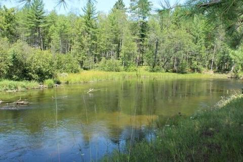 1230 S Mcmasters Bridge Road Grayling Mi 49738 Rd, Grayling, MI 49738 photo 4