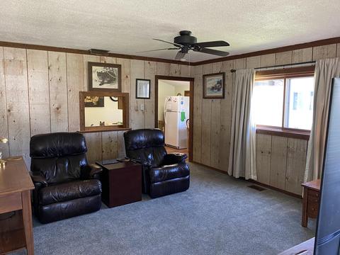 205 Peninsular Ave, Grayling, MI 49738 photo 5