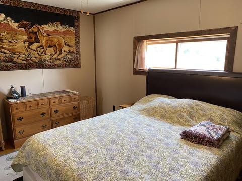 205 Peninsular Ave, Grayling, MI 49738 photo 9
