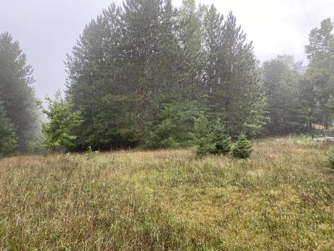 11618 Bilder Rd, Wolverine, MI 49799 photo 8