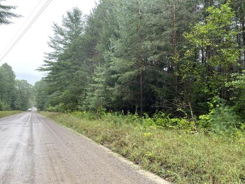 11618 Bilder Rd, Wolverine, MI 49799 photo 11