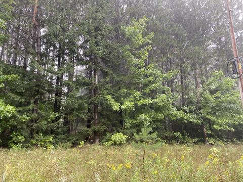 11618 Bilder Rd, Wolverine, MI 49799 photo 5