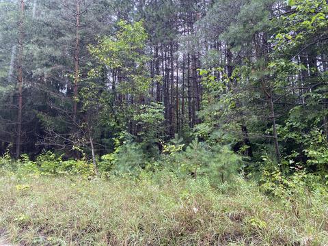 11618 Bilder Rd, Wolverine, MI 49799 photo 10