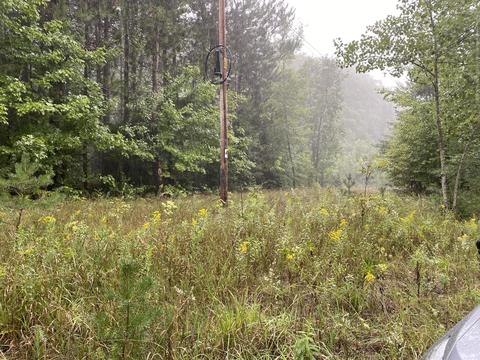 11618 Bilder Rd, Wolverine, MI 49799 photo 4