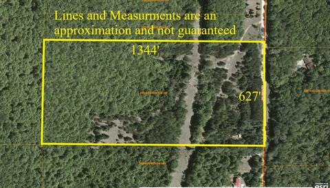 11618 Bilder Rd, Wolverine, MI 49799 photo 3