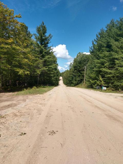 16460 Timberline Drive Wolverine Mi 49799 Dr, Wolverine, MI 49799 photo 13