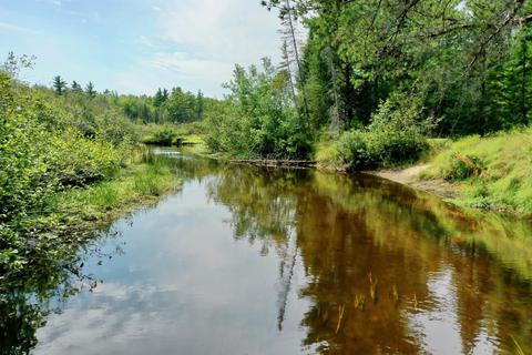 305 Ausable River Trail Roscommon Mi 48653 Trl, Roscommon, MI 48653 photo 36