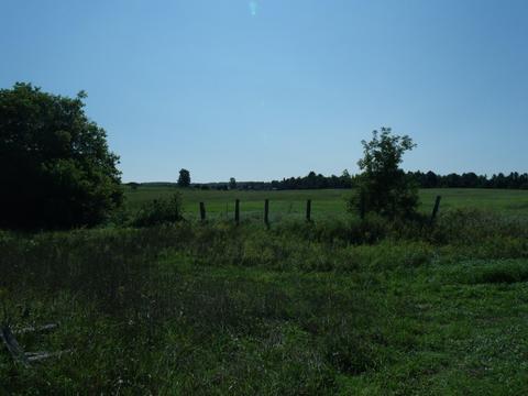 14275 Molineaux Rd, Wolverine, MI 49799 photo 37