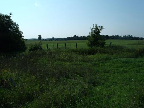 14275 Molineaux Rd, Wolverine, MI 49799 photo 33