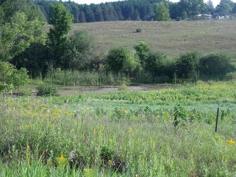 14275 Molineaux Rd, Wolverine, MI 49799 photo 30