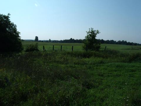 14275 Molineaux Rd, Wolverine, MI 49799 photo 32