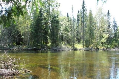 2940 Twin Pine Road Grayling Mi 49738 Rd, Grayling, MI 49738 photo 4