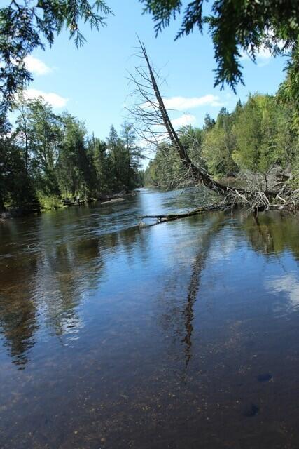 2940 Twin Pine Road Grayling Mi 49738 Rd, Grayling, MI 49738 photo 24