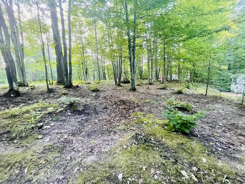 11173 Nottingham Drive Frederic Mi 49733 Dr, Frederic, MI 49733 photo 2