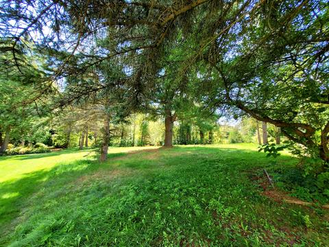308 Ausable Court Grayling Mi 49738, Grayling, MI 49738 photo 25