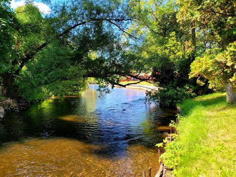 308 Ausable Court Grayling Mi 49738, Grayling, MI 49738 photo 3