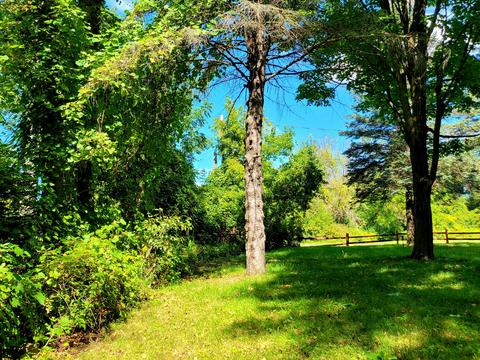 308 Ausable Court Grayling Mi 49738, Grayling, MI 49738 photo 14