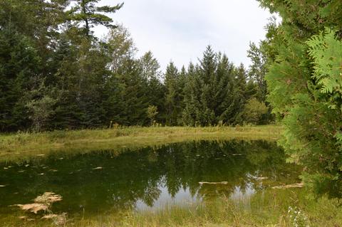 350 N Mt Tom Rd, Mio, MI 48647 photo 9