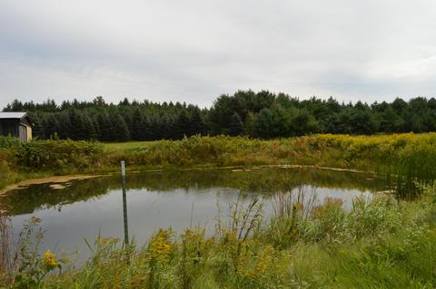 350 N Mt Tom Rd, Mio, MI 48647 photo 10