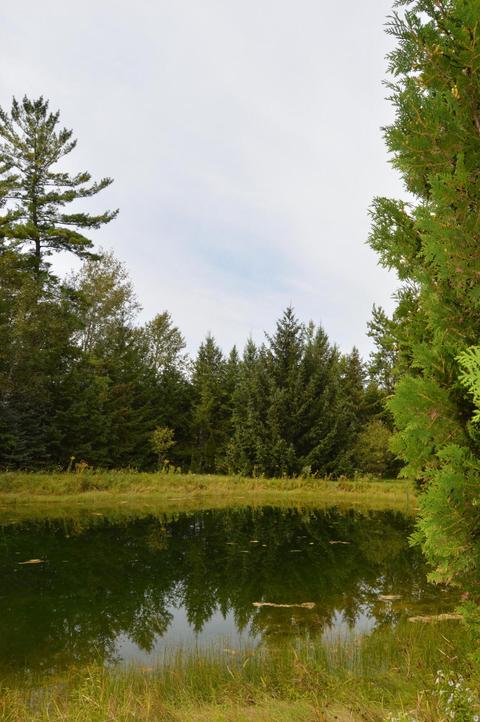 350 N Mt Tom Rd, Mio, MI 48647 photo 11